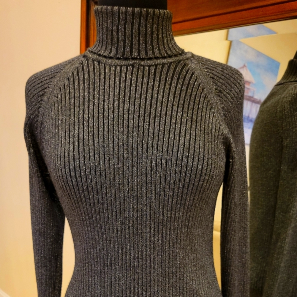 Dana b. and Karen Vintage Metalic Ribbed Turtleneck